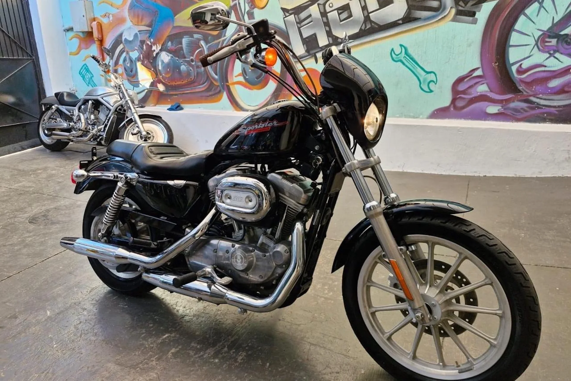 Harley Motorcycles Rental in Puerto Vallarta